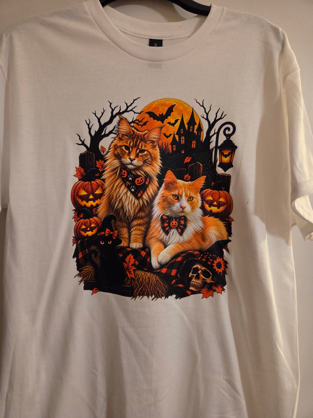 Mainecoon Halloween